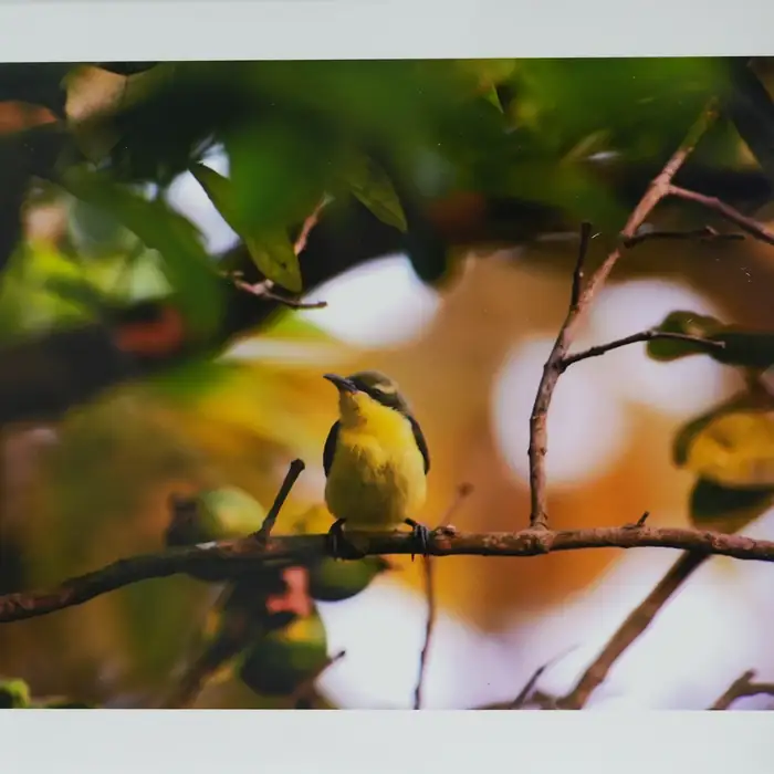 Anonymous artwork #29 from Art Incognito 2026 at The Beaumont Studios