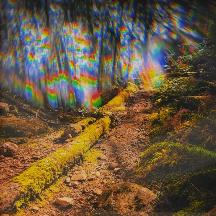 Anonymous artwork #79 from Art Incognito 2026 at The Beaumont Studios