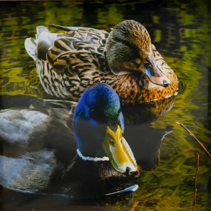 Anonymous artwork #80 from Art Incognito 2026 at The Beaumont Studios