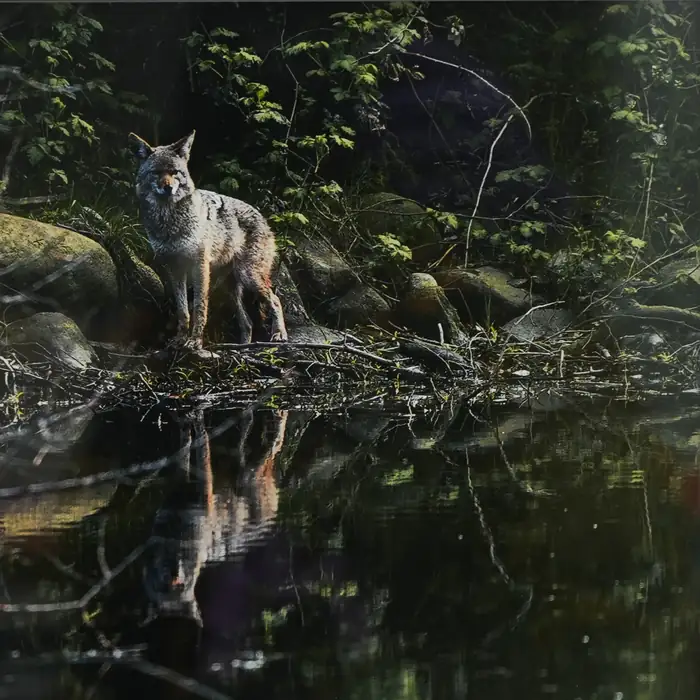 Anonymous artwork #215 from Art Incognito 2026 at The Beaumont Studios